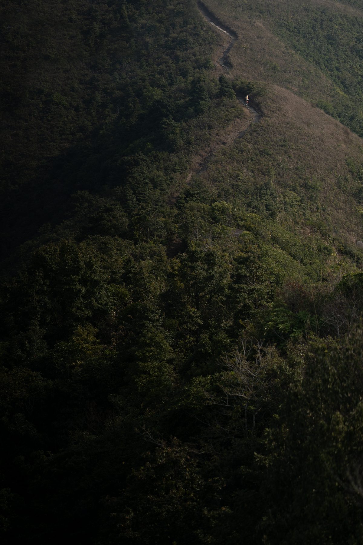 The 9 Dragons photo 13